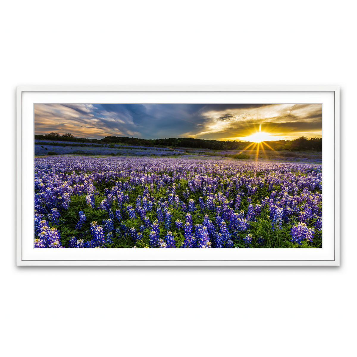 Framed Print 2x1 White