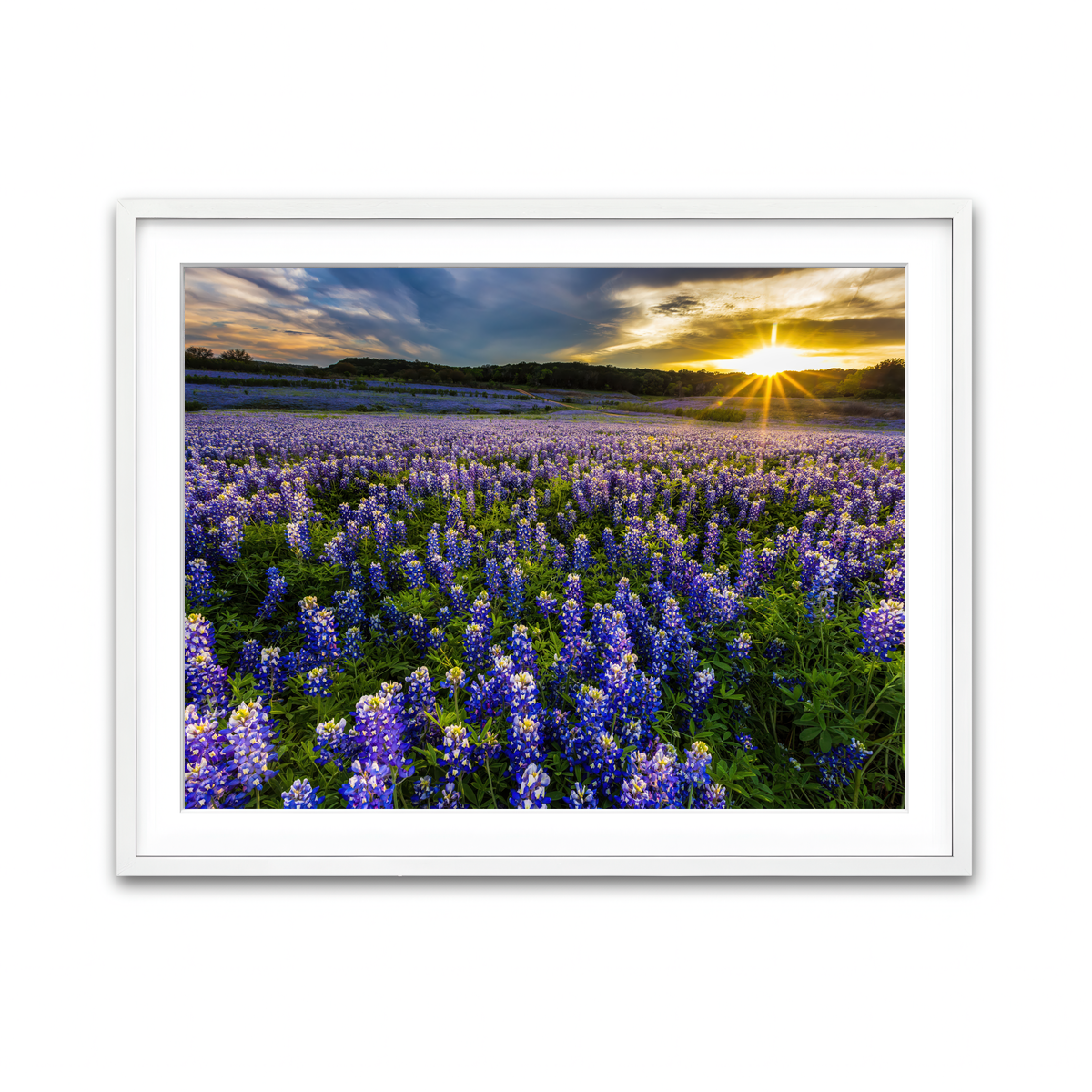 Framed Print 4x3 White