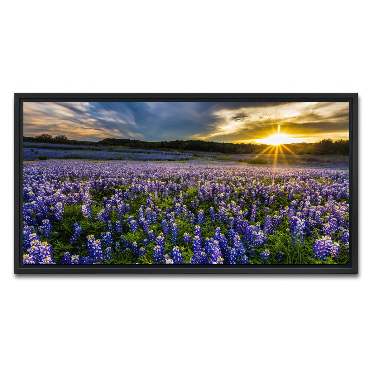 AUTO-MOCKUP WHITE | Texas bluebonnet field Muleshoe Bend | 1 Piece | Black Framed Canvas | group=2x1