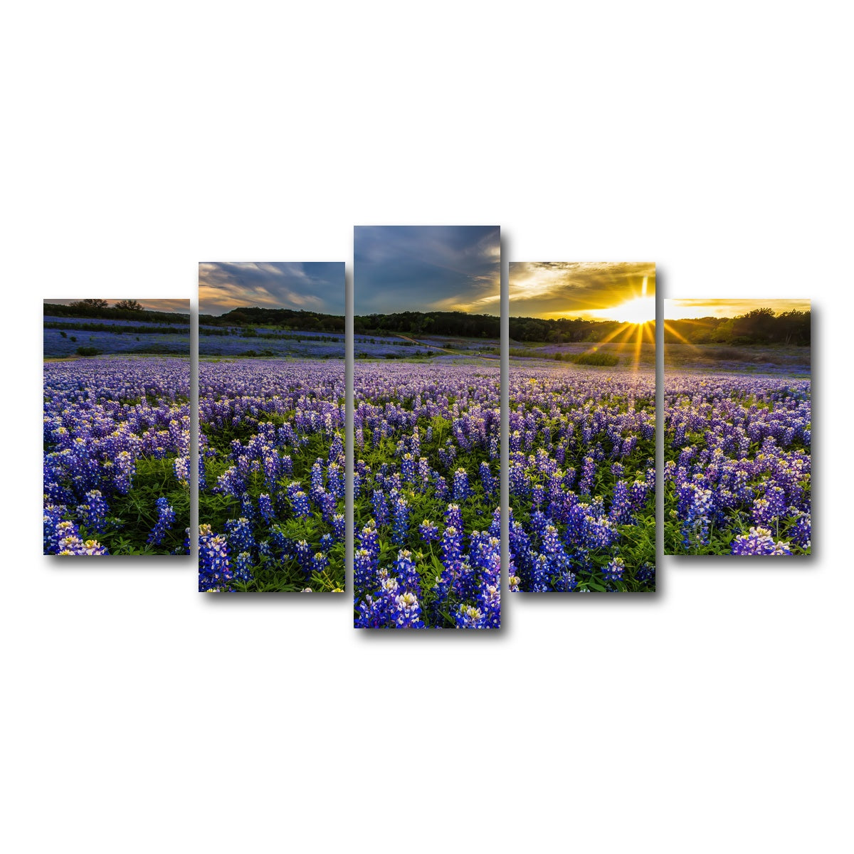AUTO-MOCKUP WHITE | Texas bluebonnet field Muleshoe Bend | 5 Piece | Gallery Wrap Canvas | group=5_normal
