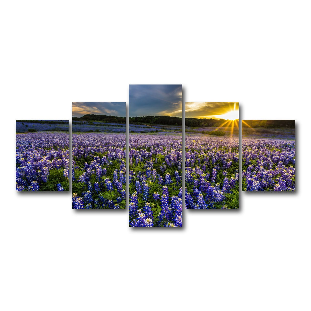 AUTO-MOCKUP WHITE | Texas bluebonnet field Muleshoe Bend | 5 Piece | Gallery Wrap Canvas | group=5_short