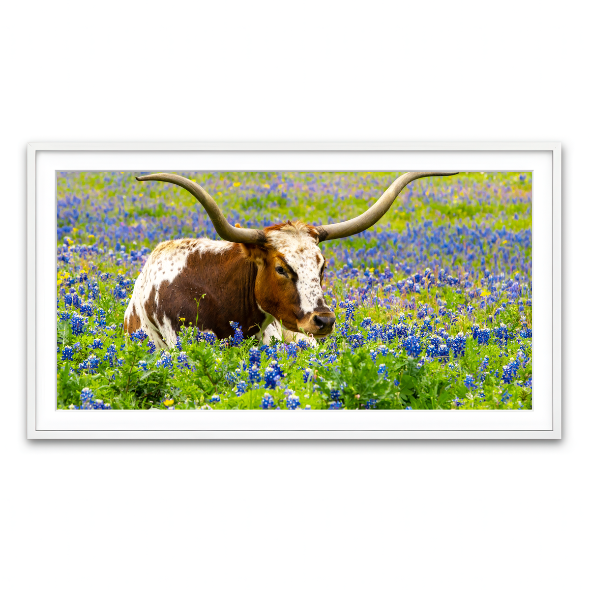 Framed Print 2x1 White