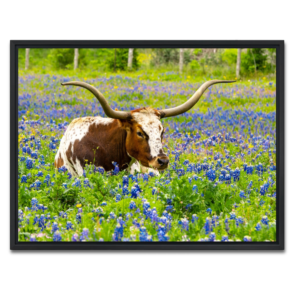 AUTO-MOCKUP WHITE | Texas longhorn bull | 1 Piece | Black Framed Canvas | group=4x3