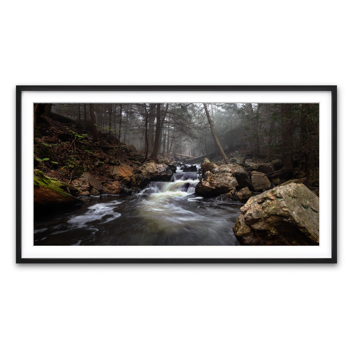 Framed Print 2x1 Black