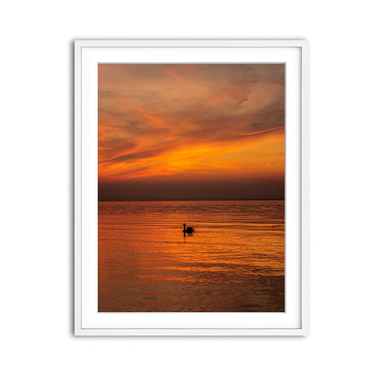 Framed Print 3x4 White