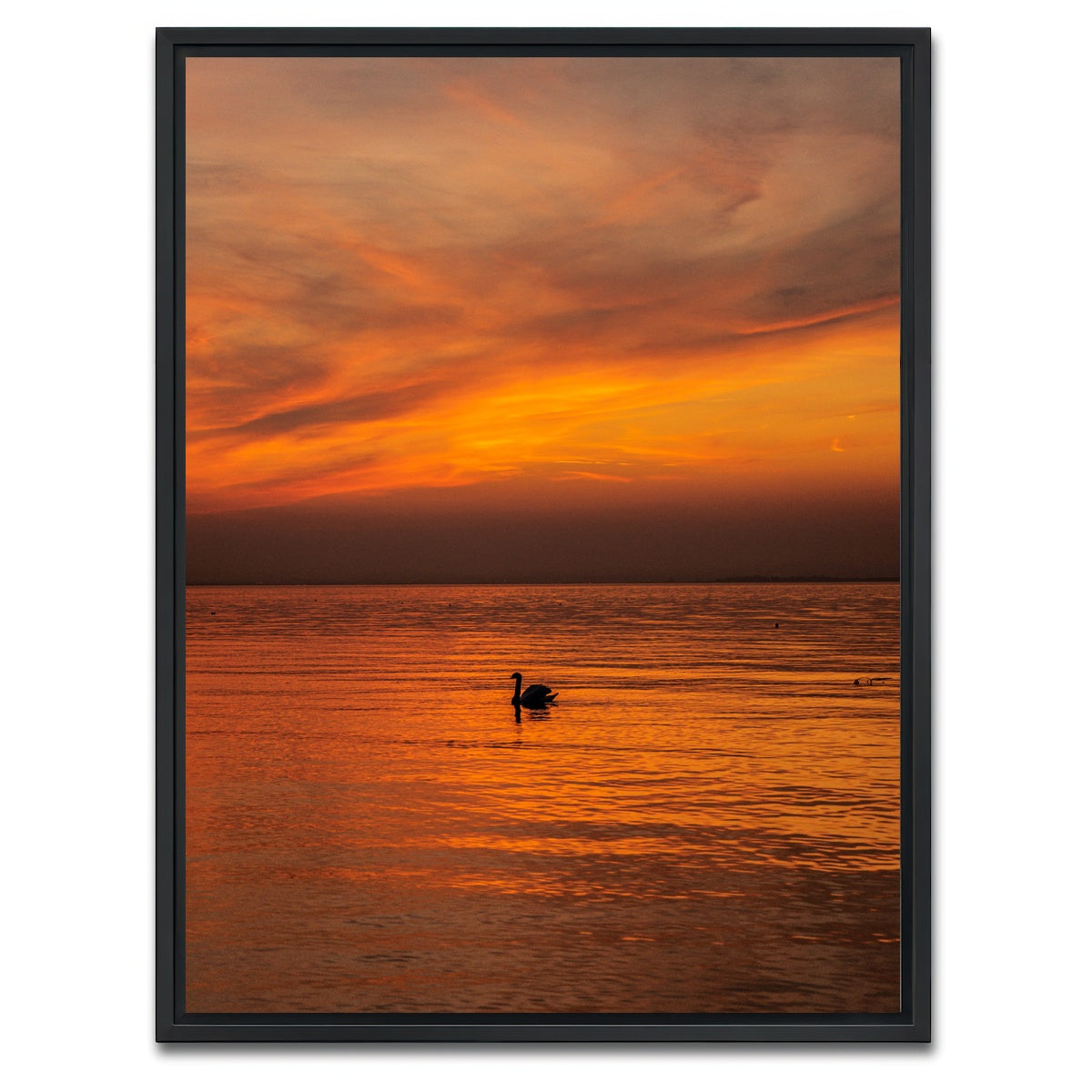 AUTO-MOCKUP WHITE | The Black Swan | 1 Piece | Black Framed Canvas | group=3x4