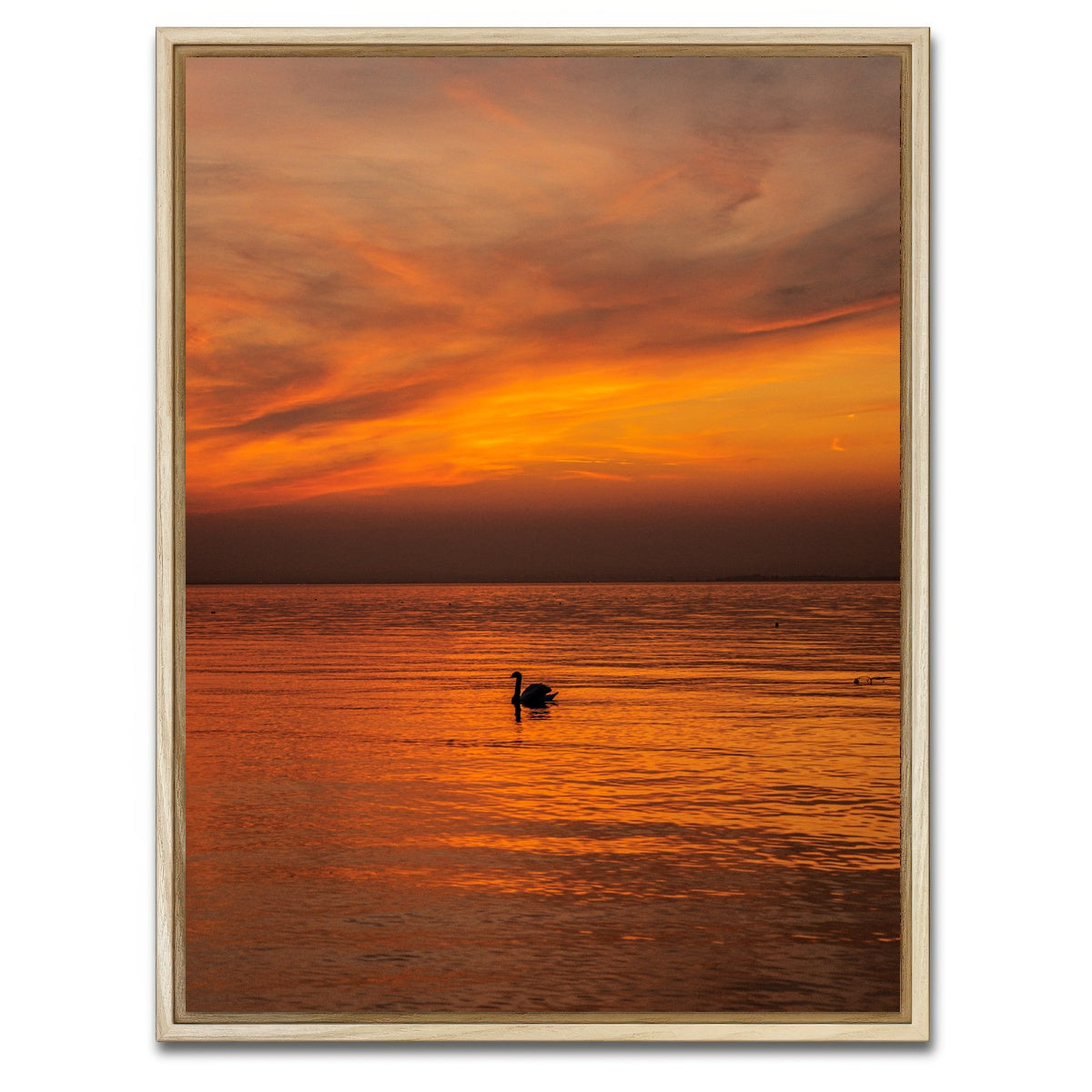 AUTO-MOCKUP WHITE | The Black Swan | 1 Piece | Natural Framed Canvas | group=3x4