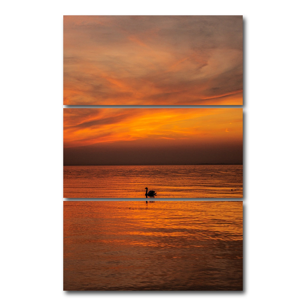 AUTO-MOCKUP WHITE | The Black Swan | 3 Piece | Gallery Wrap Canvas | group=12x24_stacked