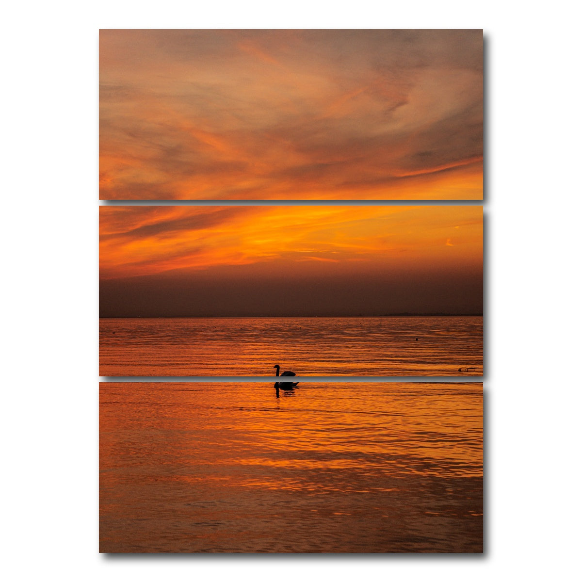AUTO-MOCKUP WHITE | The Black Swan | 3 Piece | Gallery Wrap Canvas | group=8x18_stacked