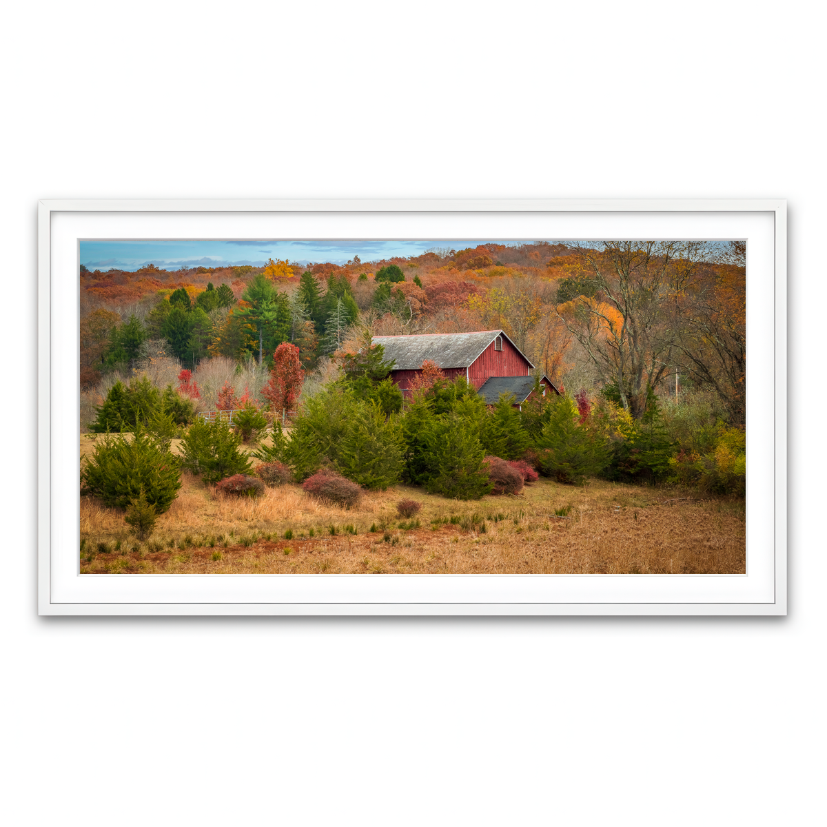 Framed Print 2x1 White