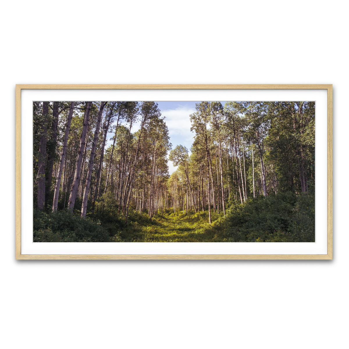 Framed Print 2x1 Natural