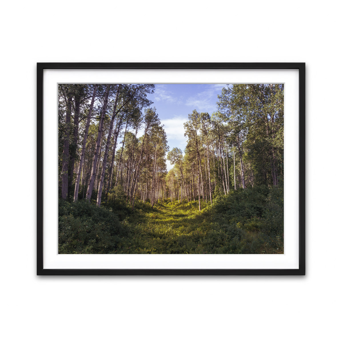 Framed Print 4x3 Black