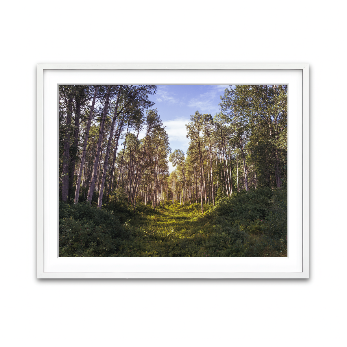 Framed Print 4x3 White
