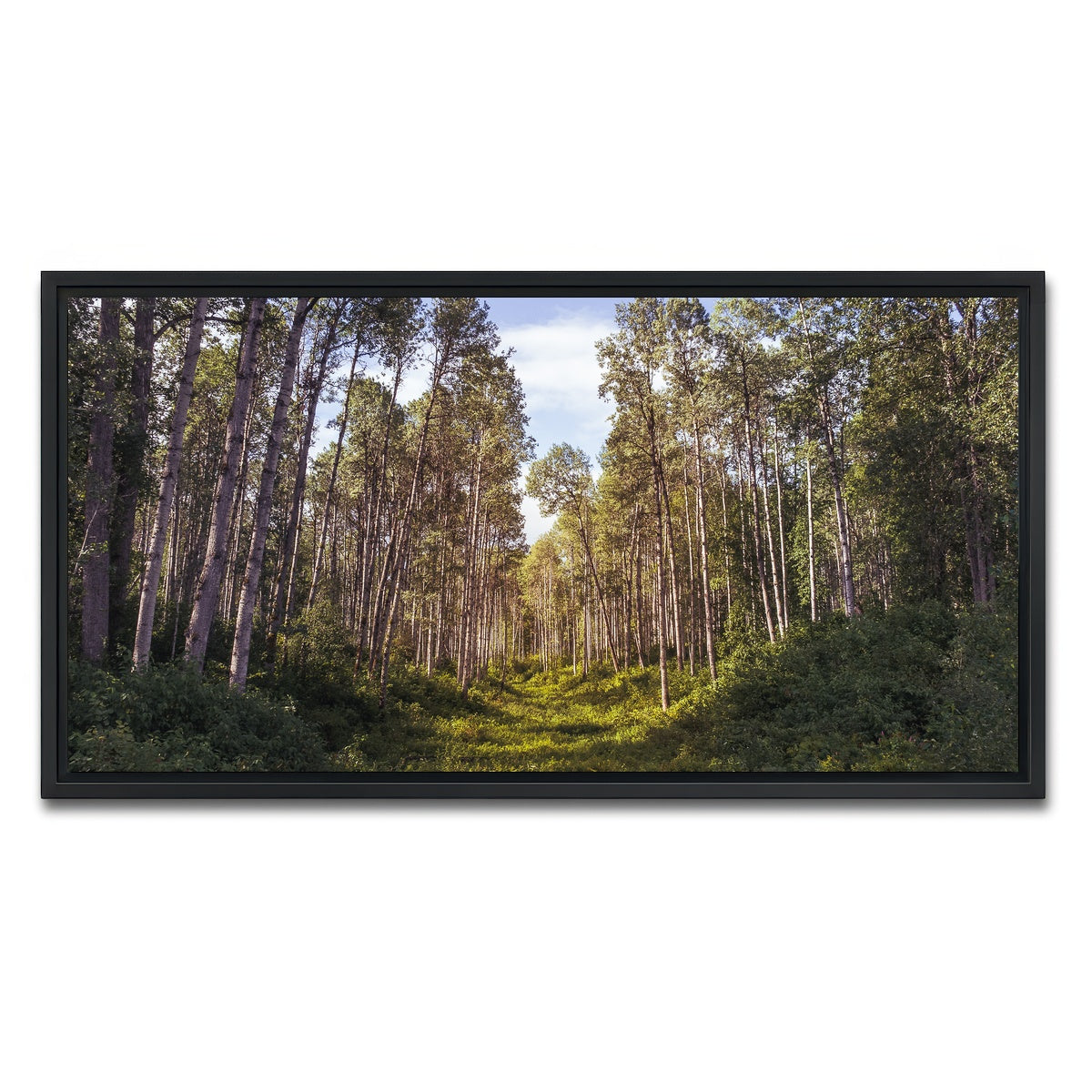 AUTO-MOCKUP WHITE | The Grove | 1 Piece | Black Framed Canvas | group=2x1