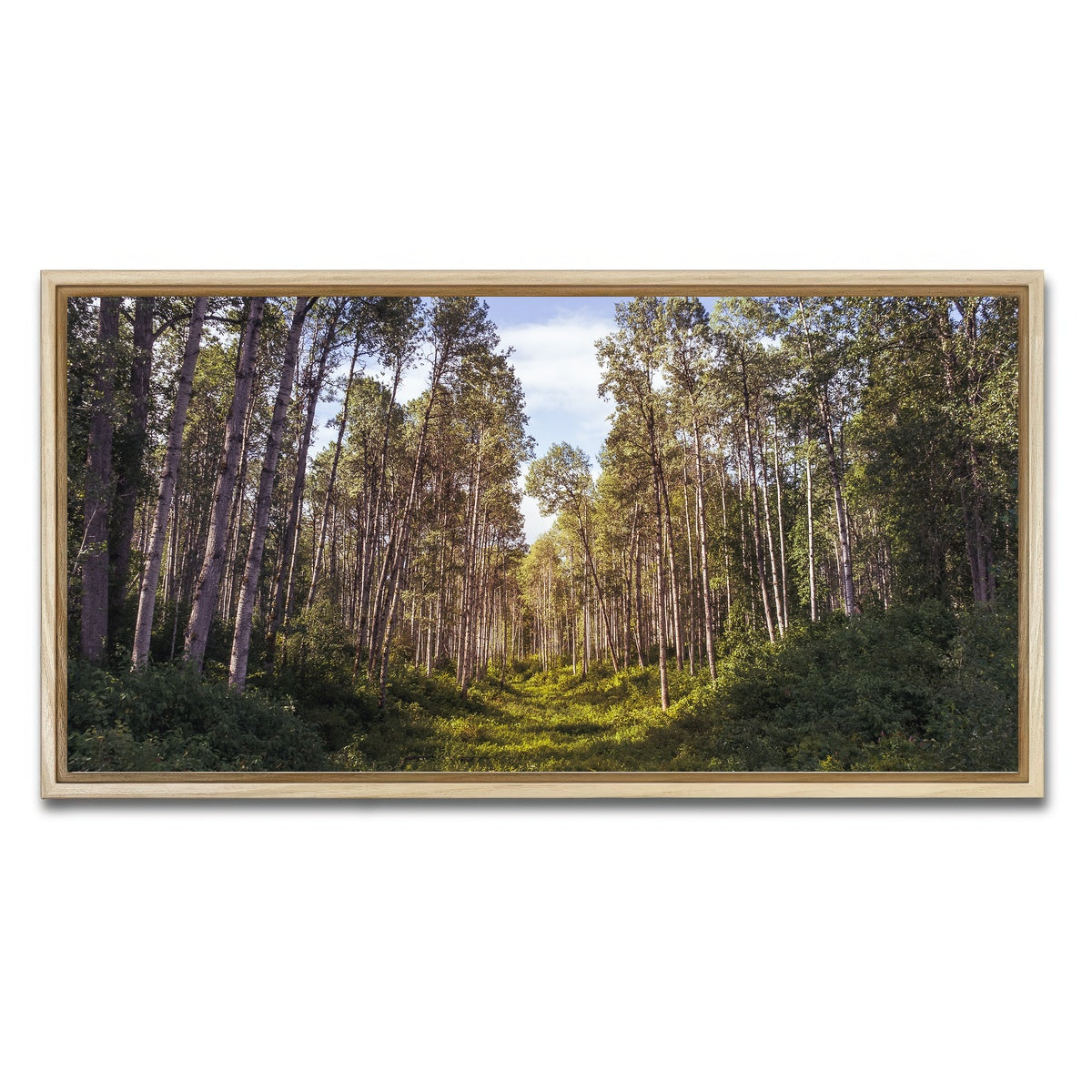 AUTO-MOCKUP WHITE | The Grove | 1 Piece | Natural Framed Canvas | group=2x1