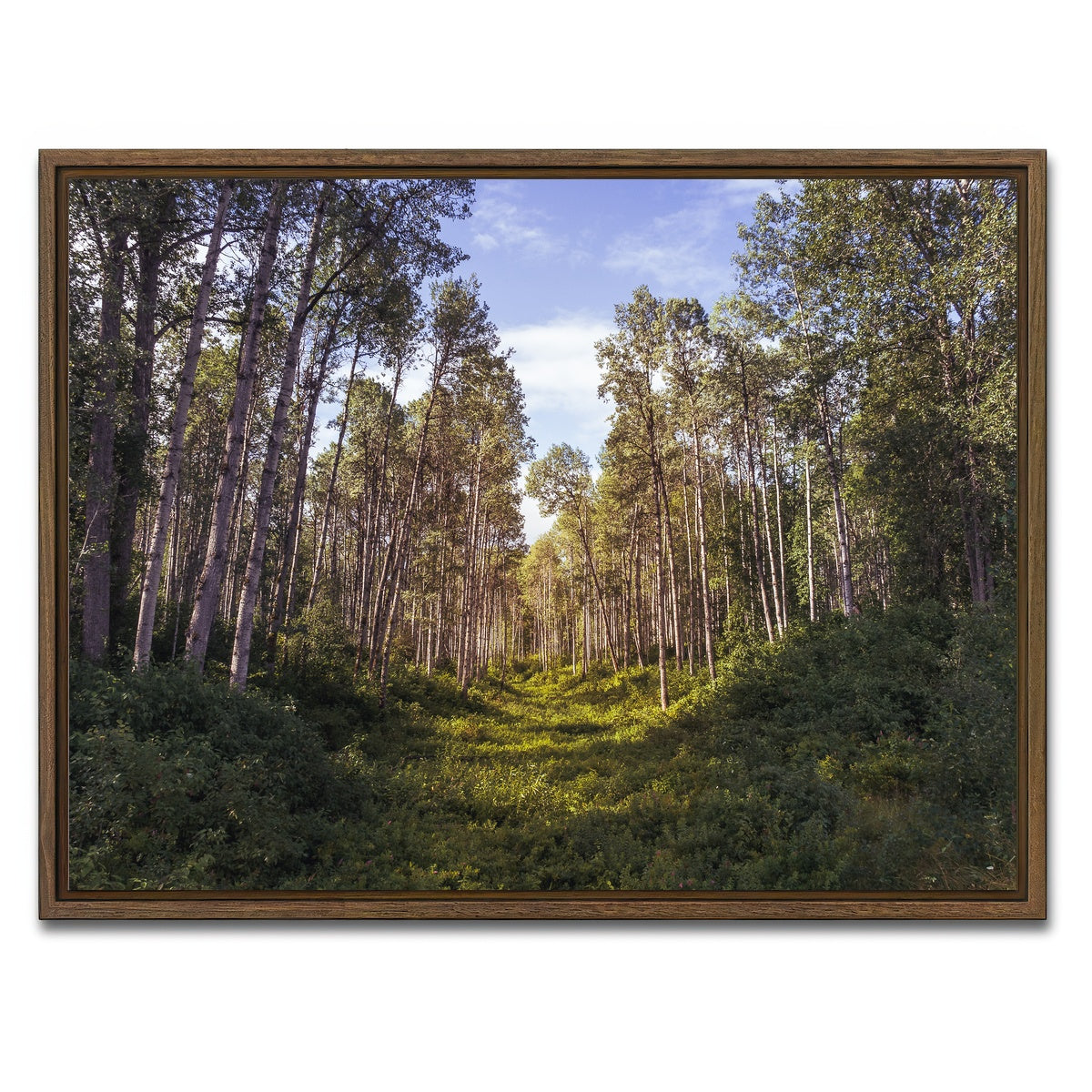 AUTO-MOCKUP WHITE | The Grove | 1 Piece | Walnut Framed Canvas | group=4x3