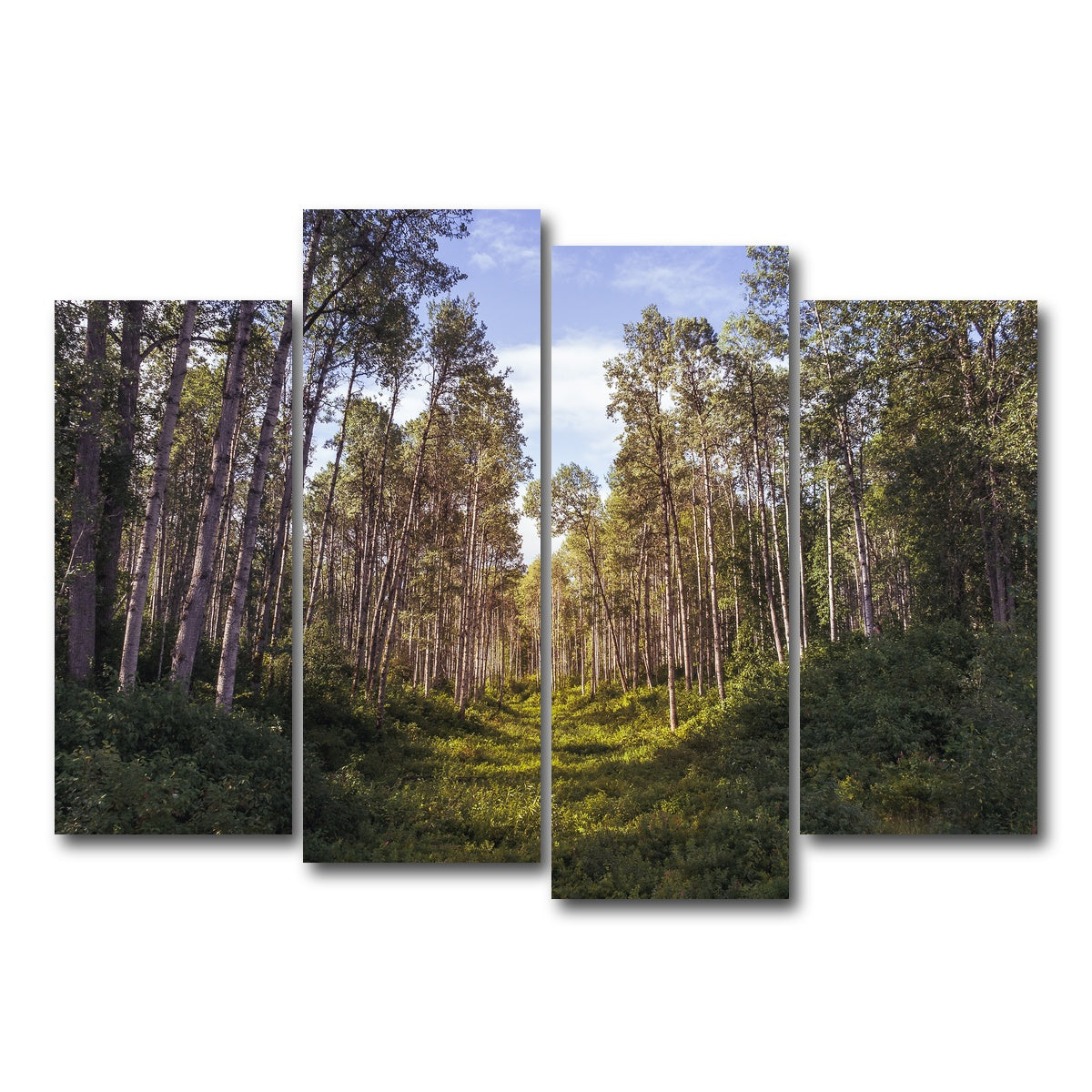 AUTO-MOCKUP WHITE | The Grove | 4 Piece | Gallery Wrap Canvas | group=4_normal