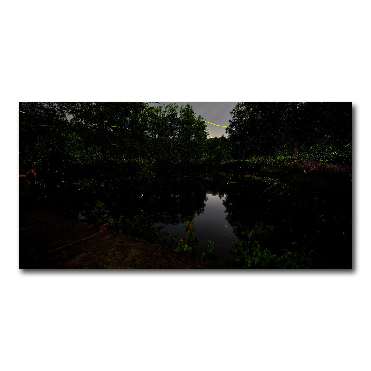 AUTO-MOCKUP WHITE | The Light Remembered | 1 Piece | Gallery Wrap Canvas | group=2x1