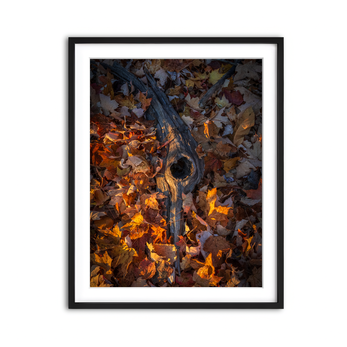 Framed Print 3x4 Black