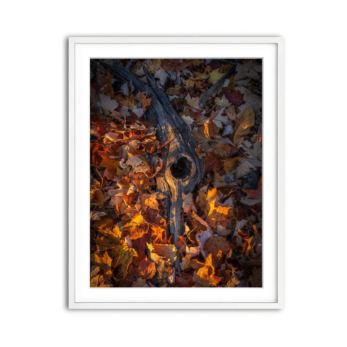 Framed Print 3x4 White