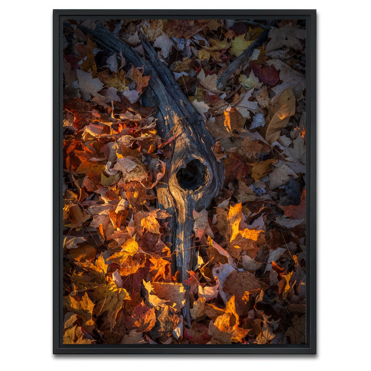 AUTO-MOCKUP WHITE | The Memory of Trees | 1 Piece | Black Framed Canvas | group=3x4