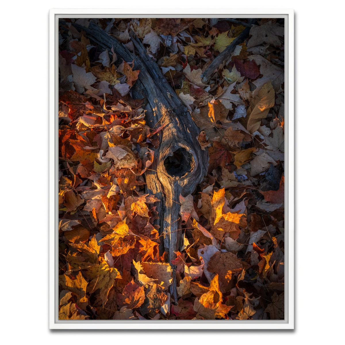 AUTO-MOCKUP WHITE | The Memory of Trees | 1 Piece | White Framed Canvas | group=3x4