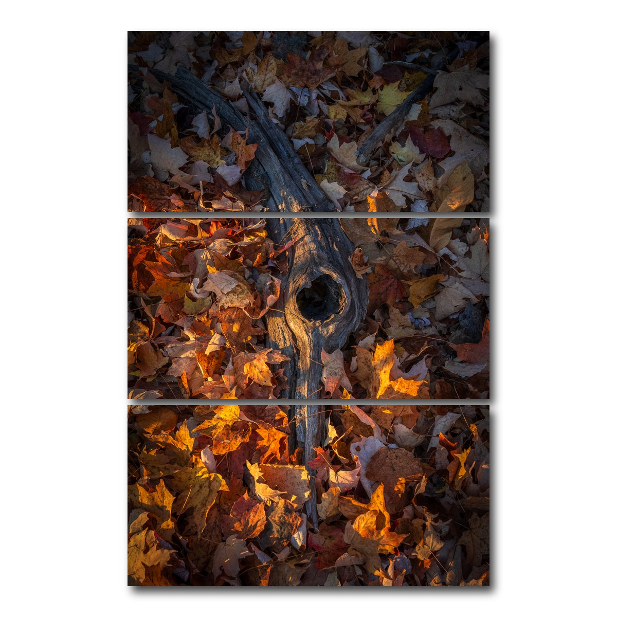 AUTO-MOCKUP WHITE | The Memory of Trees | 3 Piece | Gallery Wrap Canvas | group=12x24_stacked