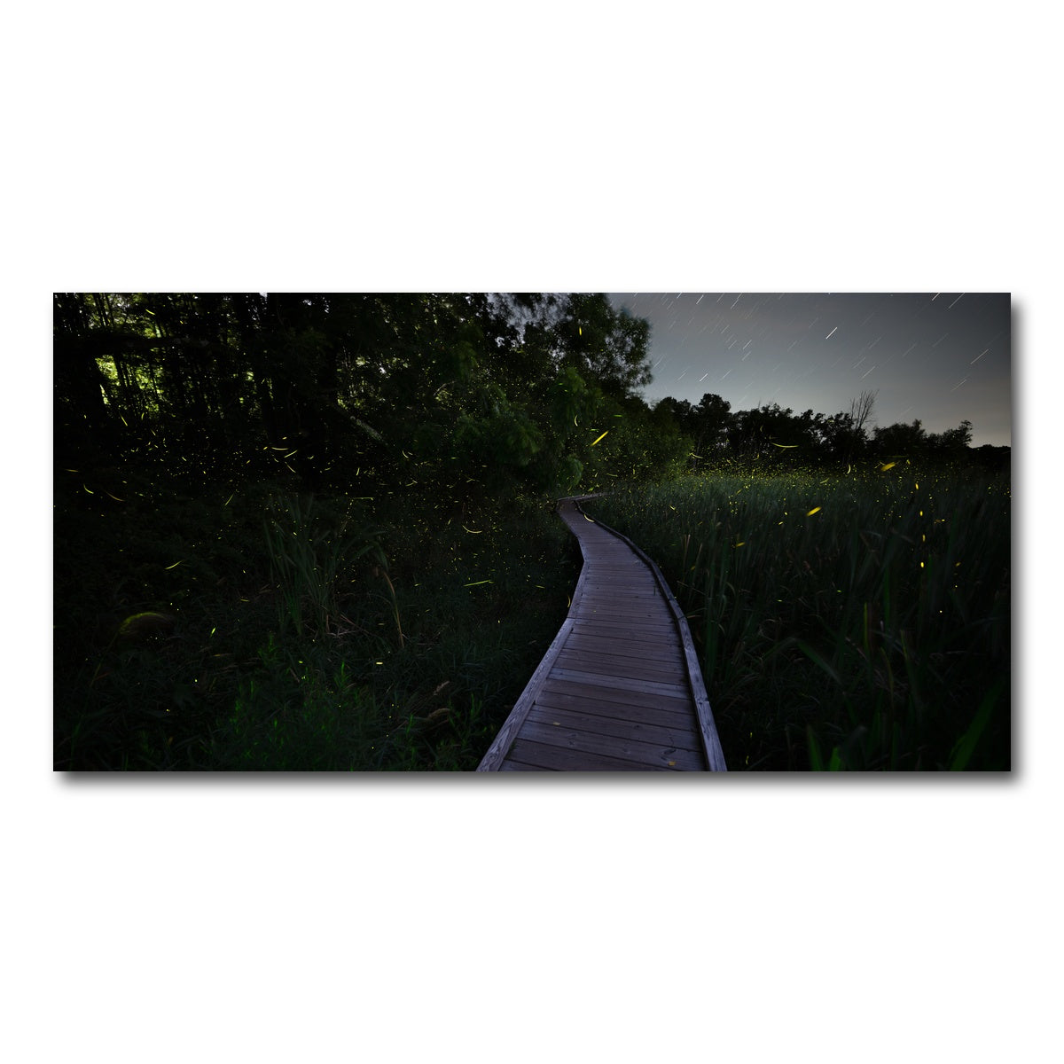 AUTO-MOCKUP WHITE | The Quiet Forward | 1 Piece | Gallery Wrap Canvas | group=2x1