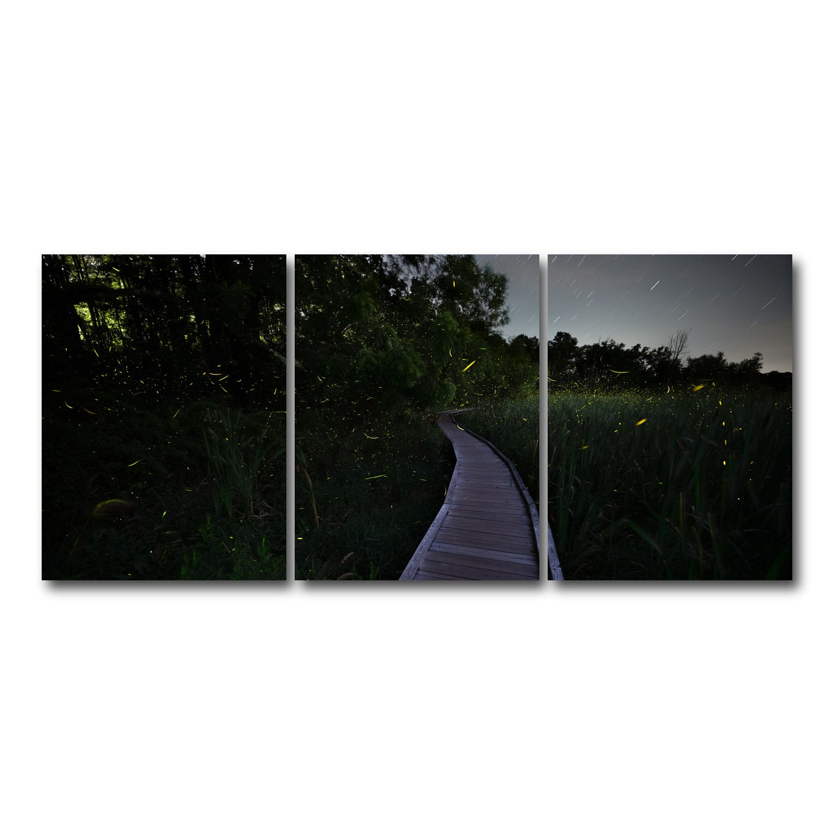 AUTO-MOCKUP WHITE | The Quiet Forward | 3 Piece | Gallery Wrap Canvas | group=18x24