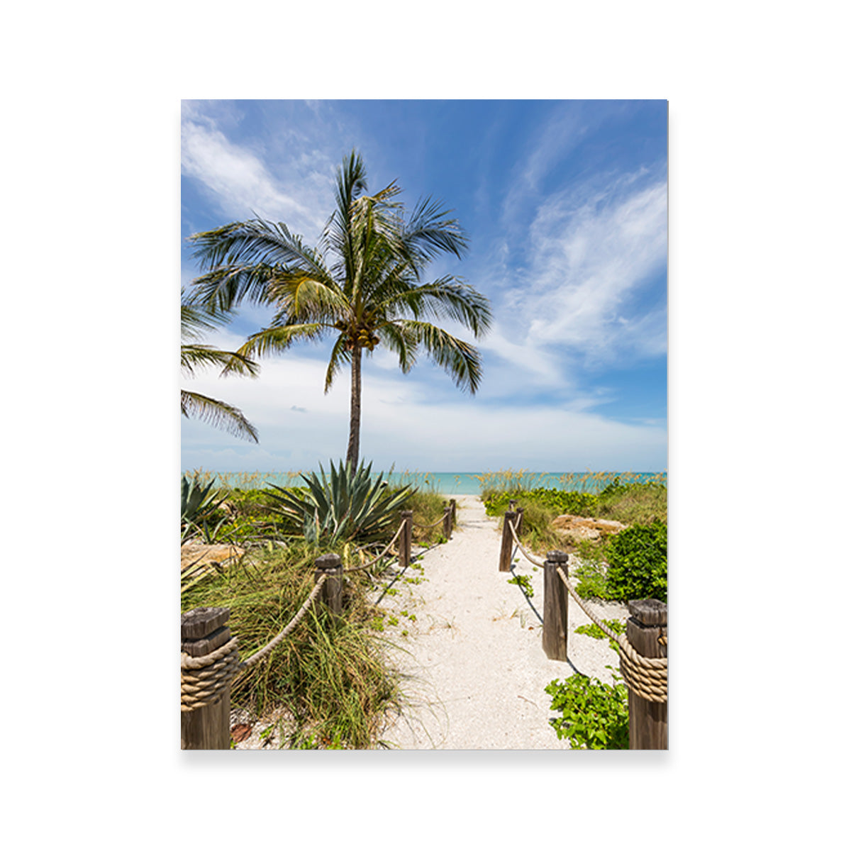 The Sandy Path to the Beach Wall Art