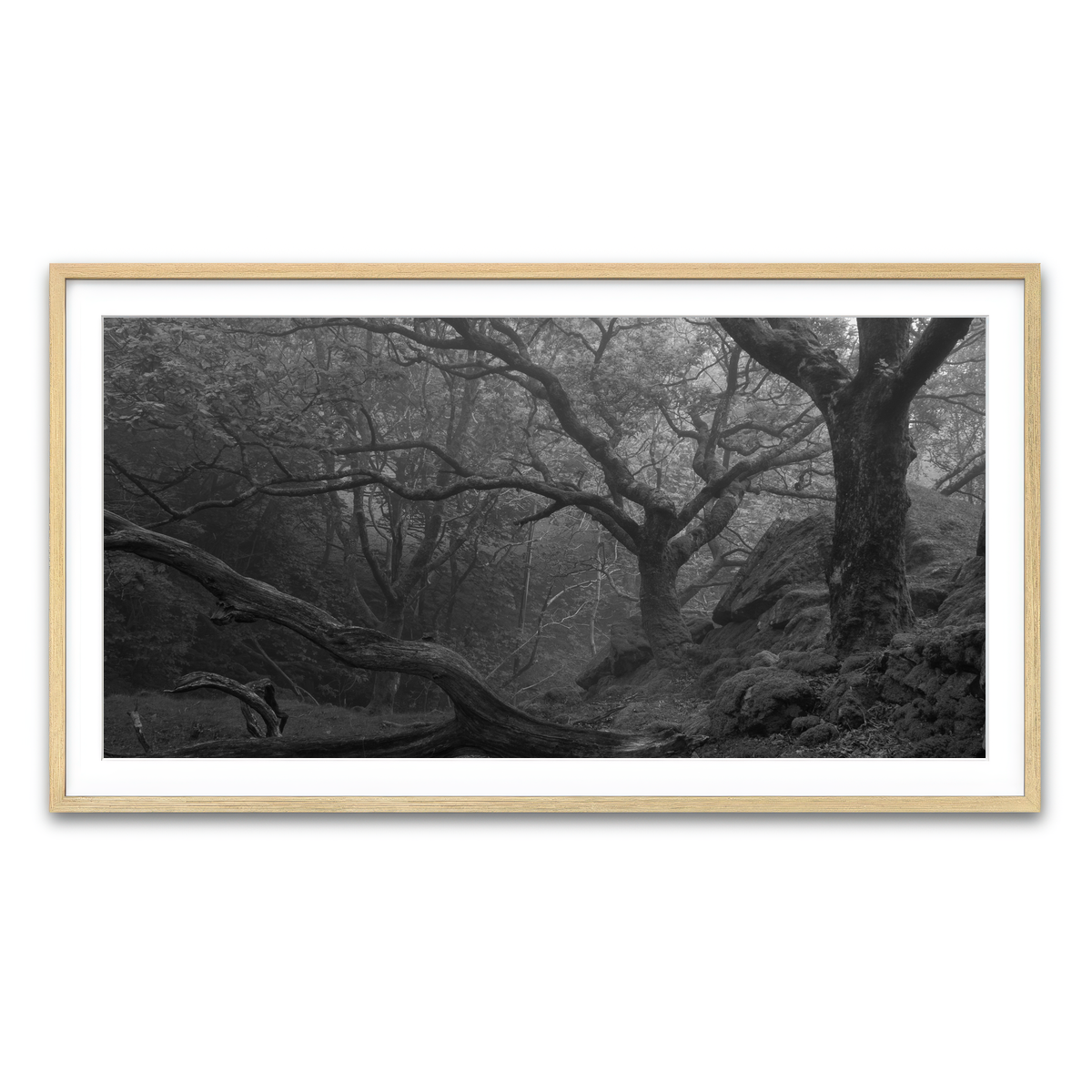 Framed Print 2x1 Natural