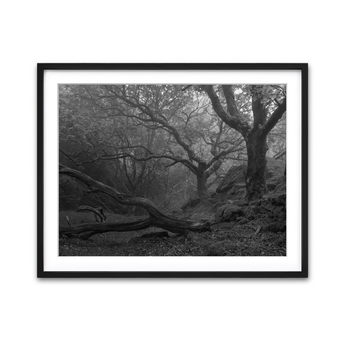 Framed Print 4x3 Black