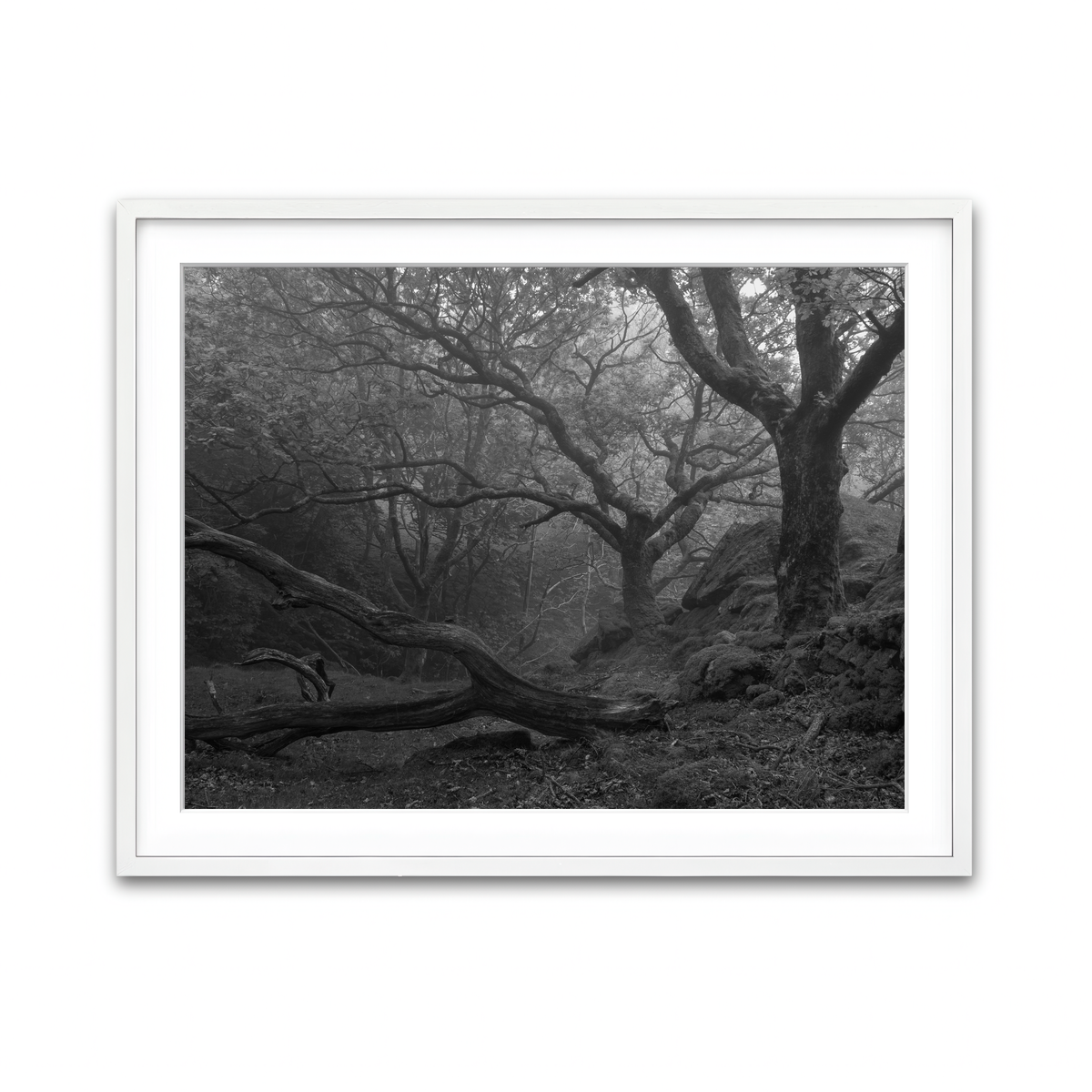 Framed Print 4x3 White