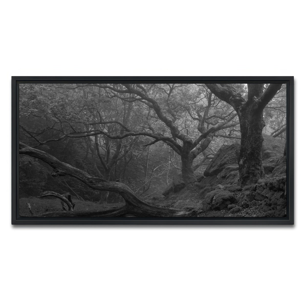 AUTO-MOCKUP WHITE | Thick Roots | 1 Piece | Black Framed Canvas | group=2x1