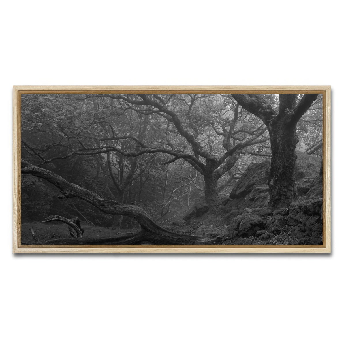 AUTO-MOCKUP WHITE | Thick Roots | 1 Piece | Natural Framed Canvas | group=2x1