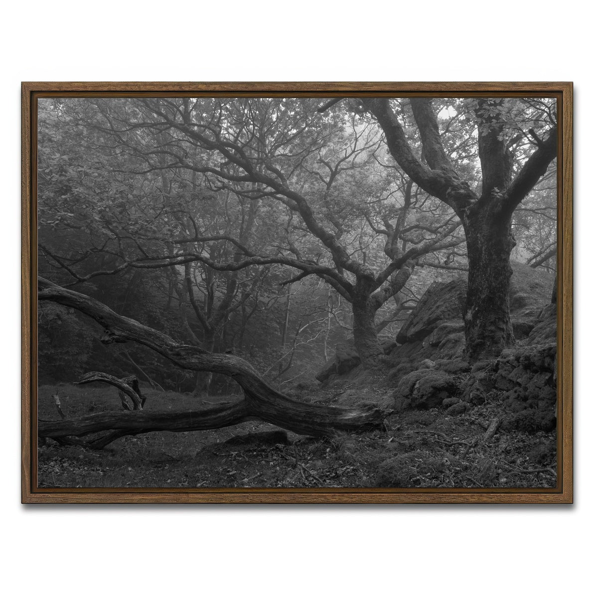 AUTO-MOCKUP WHITE | Thick Roots | 1 Piece | Walnut Framed Canvas | group=4x3