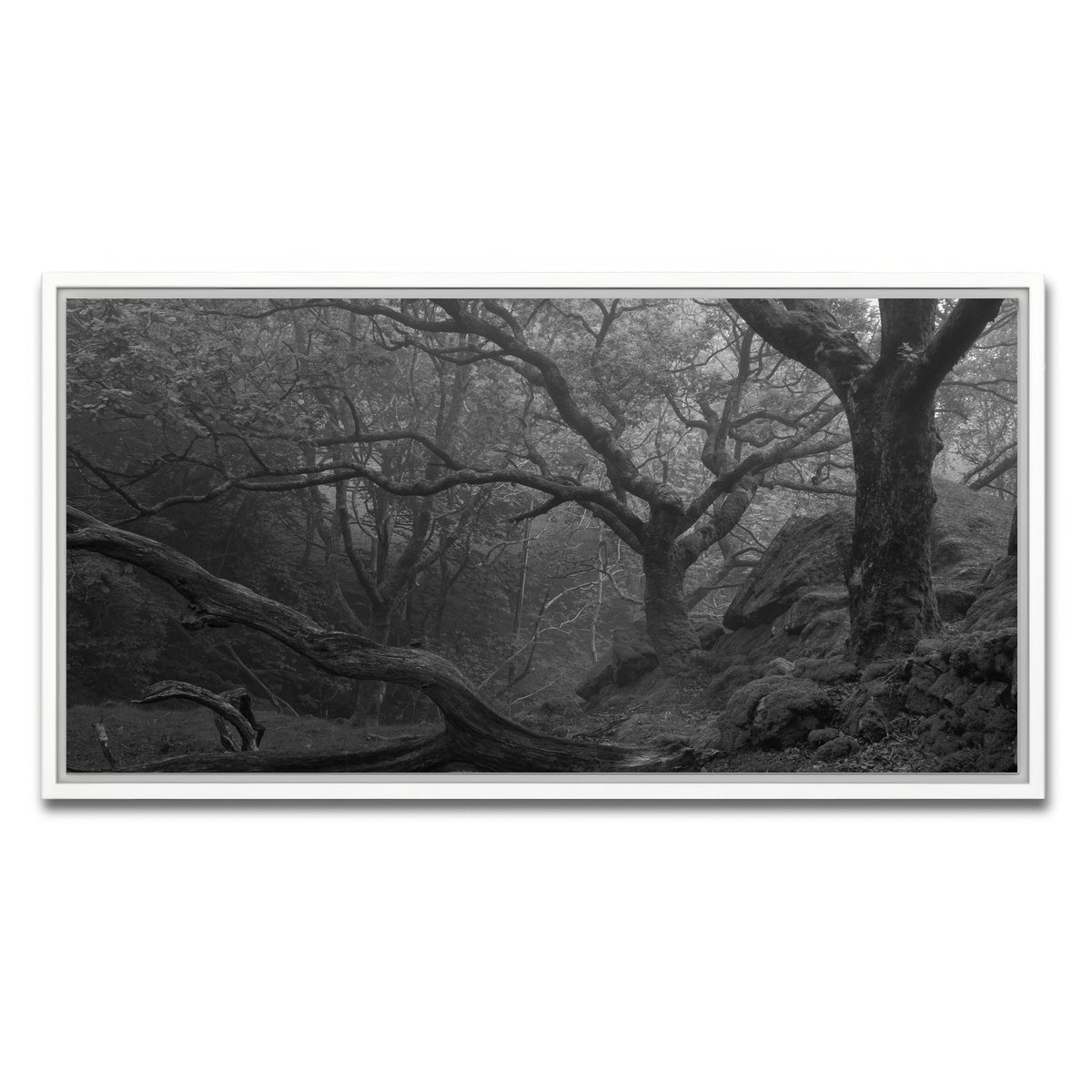 AUTO-MOCKUP WHITE | Thick Roots | 1 Piece | White Framed Canvas | group=2x1
