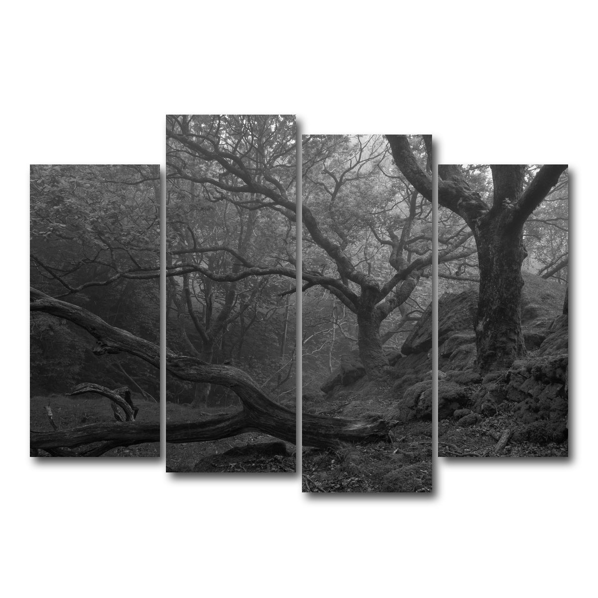 AUTO-MOCKUP WHITE | Thick Roots | 4 Piece | Gallery Wrap Canvas | group=4_normal