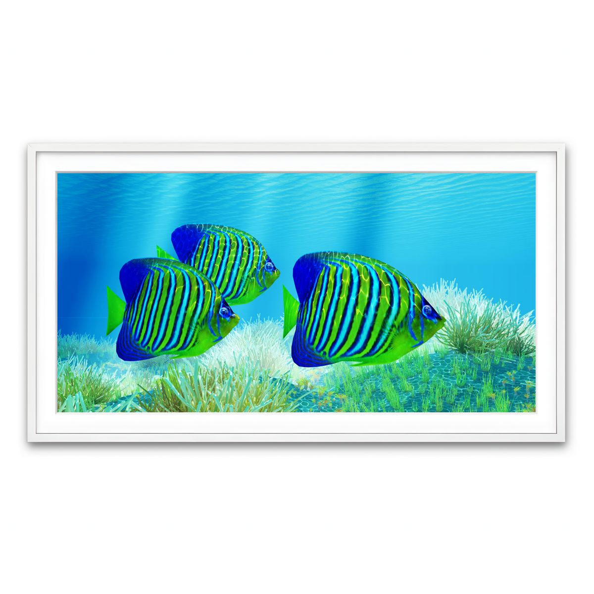 Framed Print 2x1 White