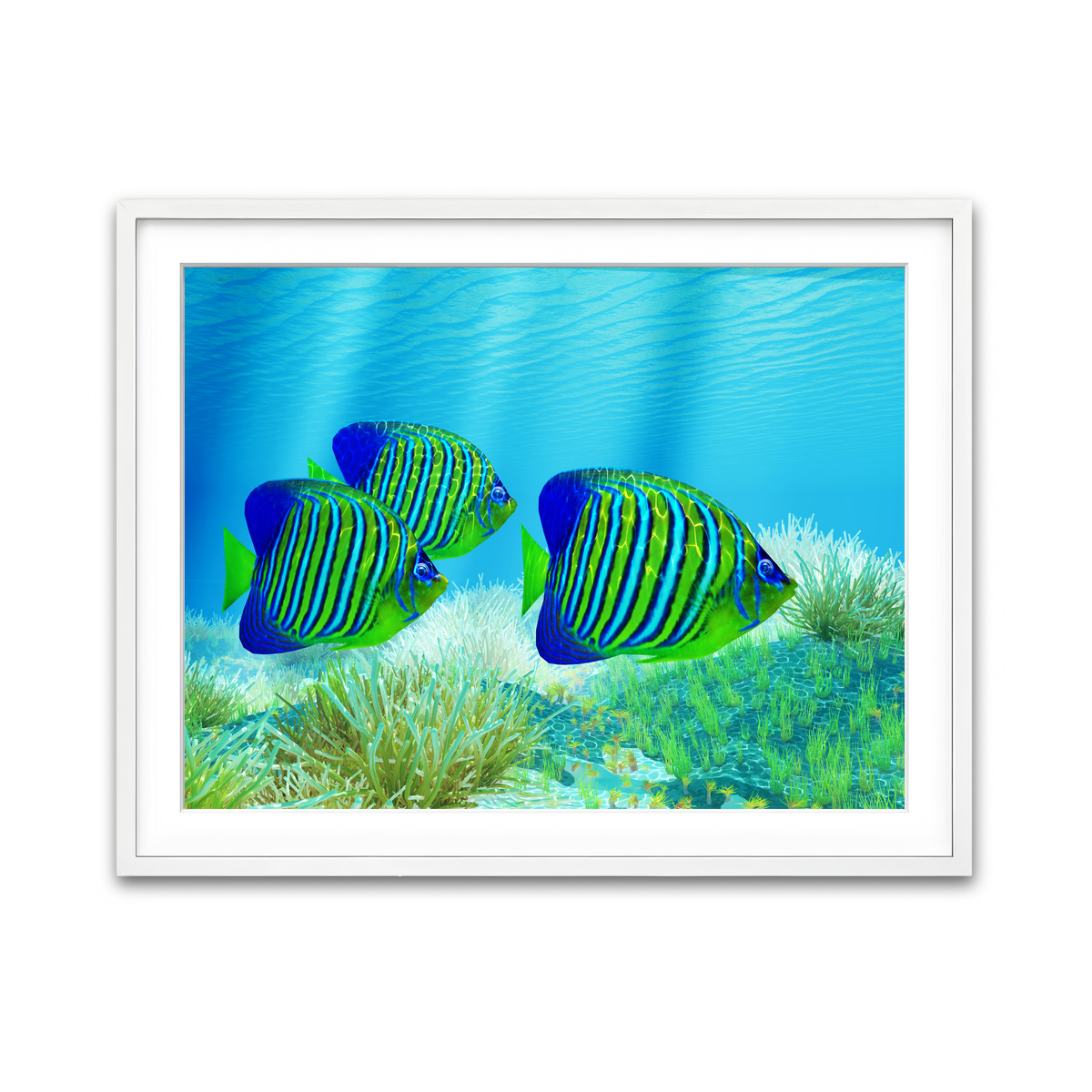 Framed Print 4x3 White