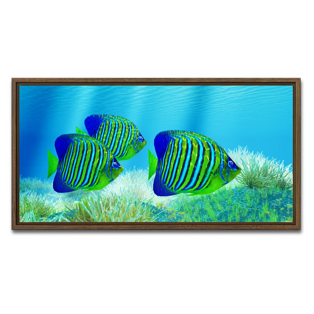 AUTO-MOCKUP WHITE | Three Regal Angelfish | 1 Piece | Walnut Framed Canvas | group=2x1