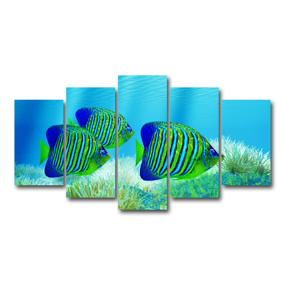 AUTO-MOCKUP WHITE | Three Regal Angelfish | 5 Piece | Gallery Wrap Canvas | group=5_normal