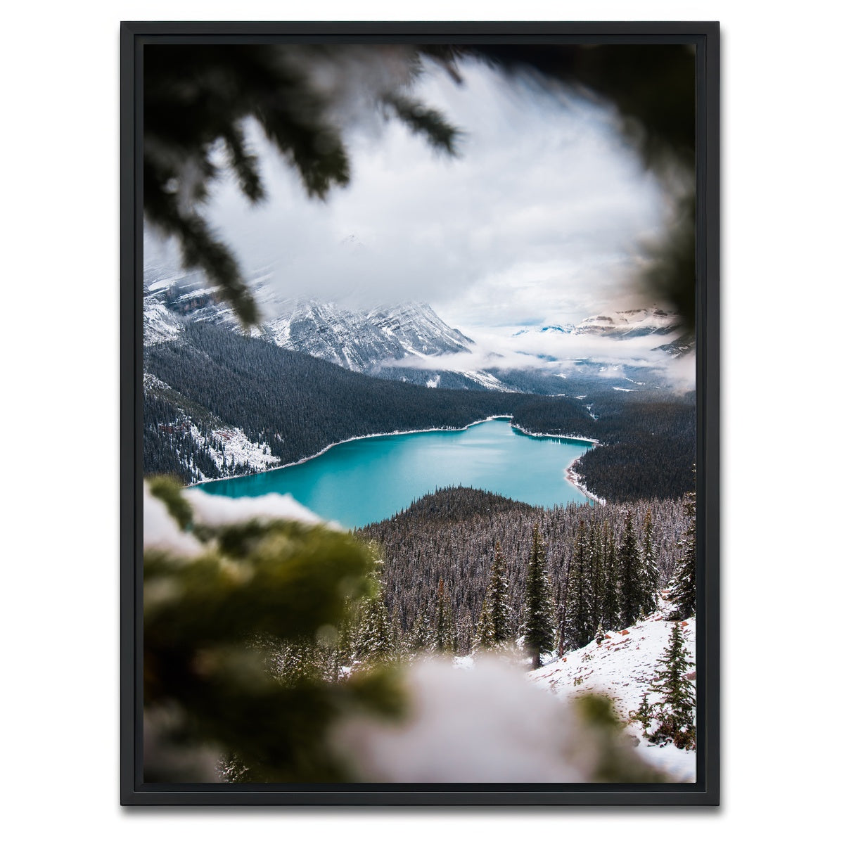 AUTO-MOCKUP WHITE | Through the Trees | 1 Piece | Black Framed Canvas | group=3x4
