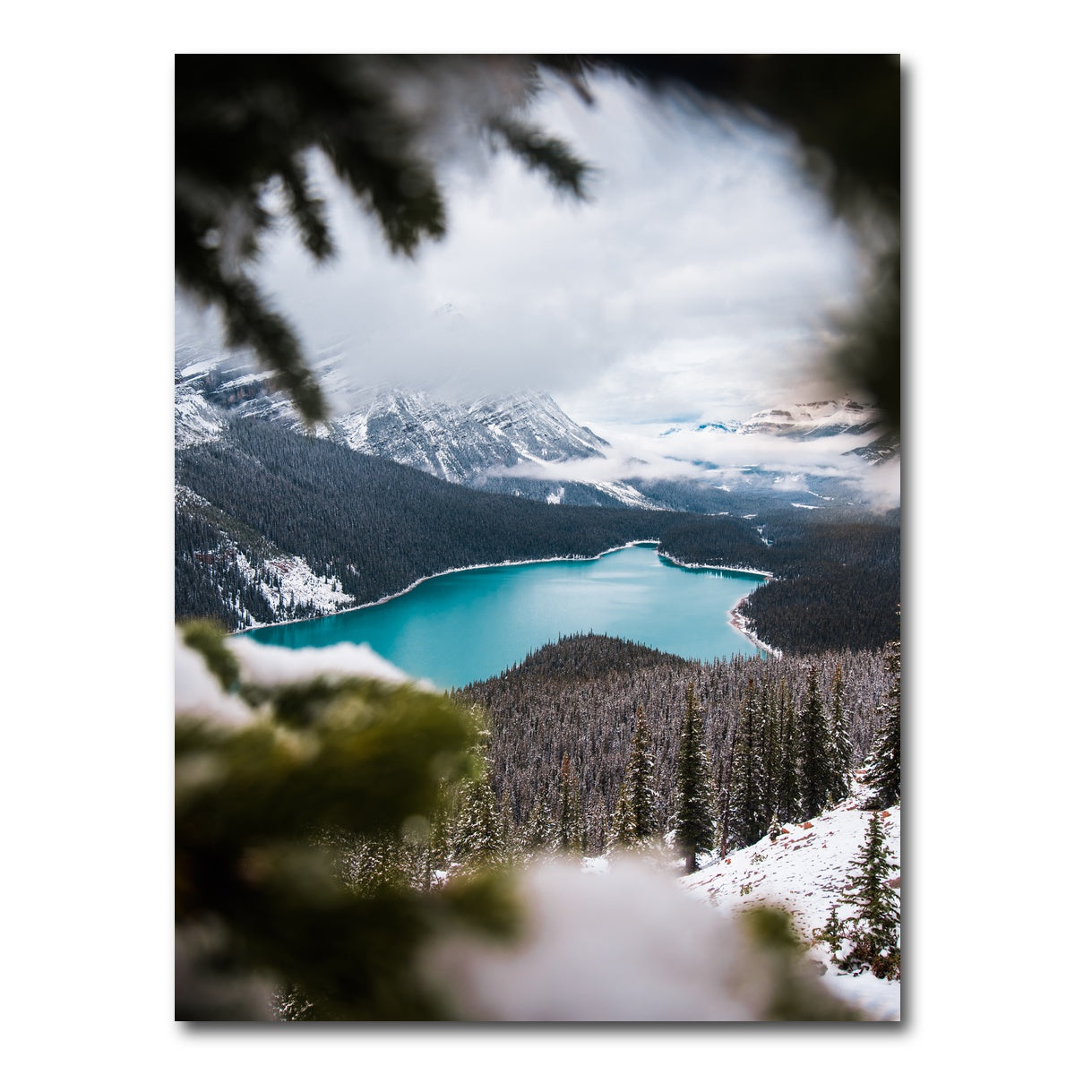 AUTO-MOCKUP WHITE | Through the Trees | 1 Piece | Gallery Wrap Canvas | group=3x4