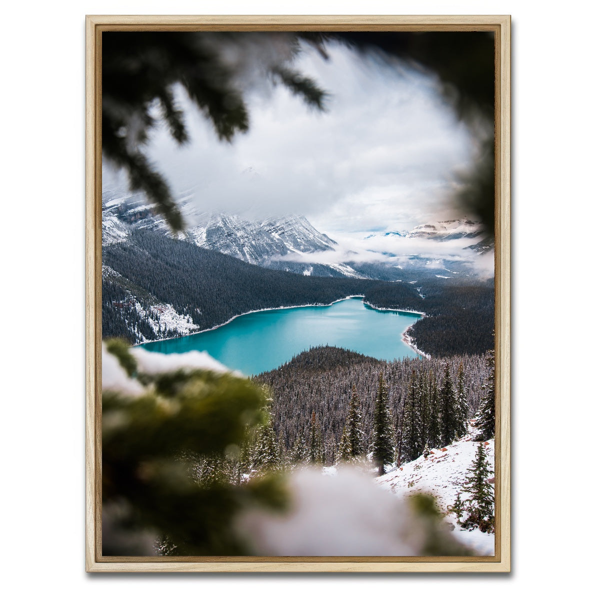 AUTO-MOCKUP WHITE | Through the Trees | 1 Piece | Natural Framed Canvas | group=3x4