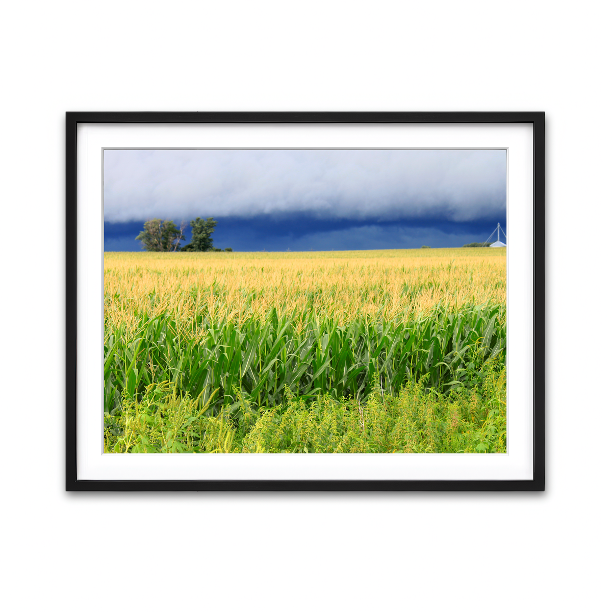 Framed Print 4x3 Black