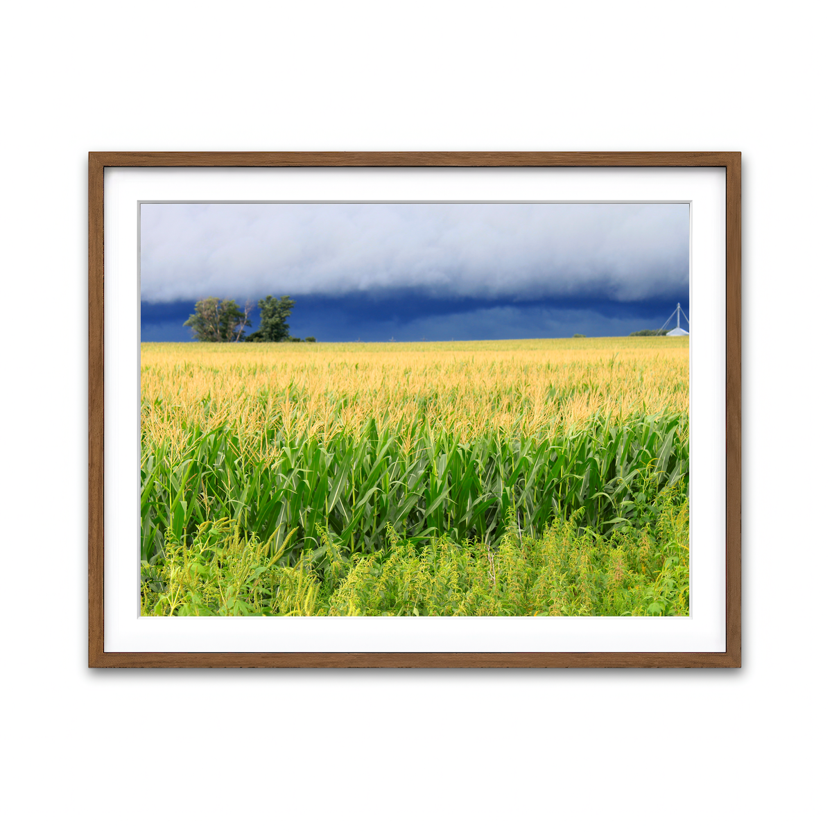 Framed Print 4x3 Walnut