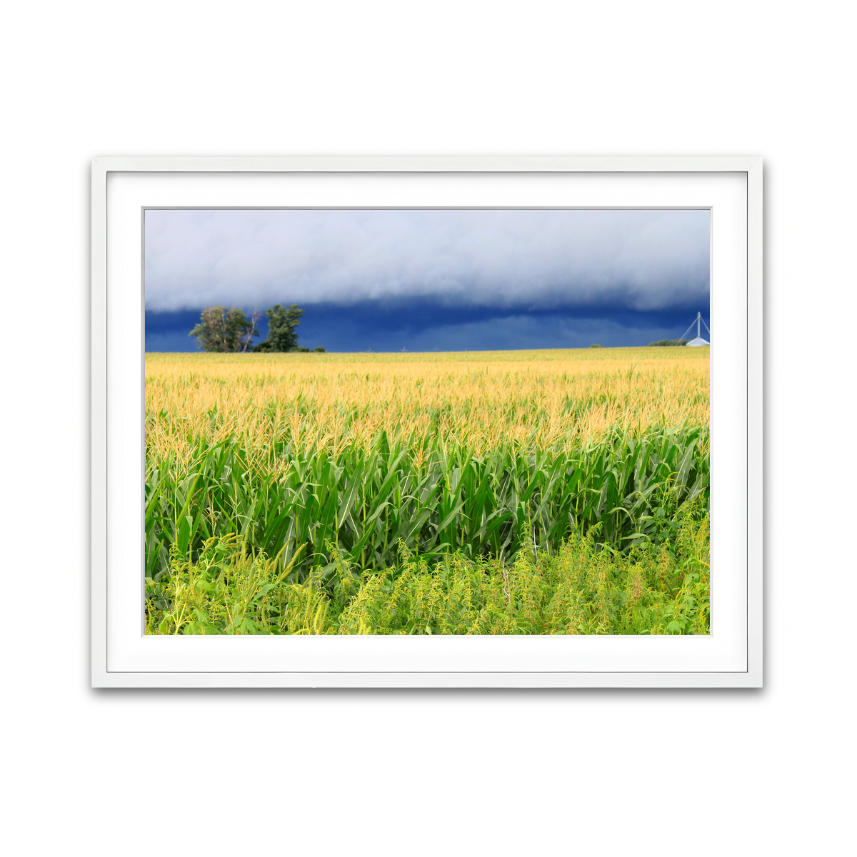 Framed Print 4x3 White