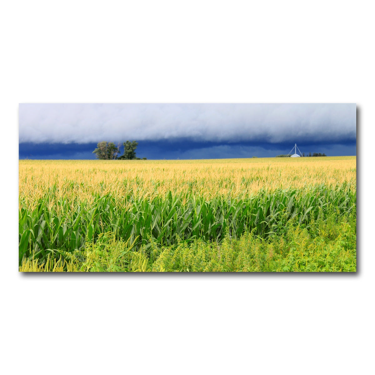 AUTO-MOCKUP WHITE | Thunderstorm Over Illinois Cornfield | 1 Piece | Gallery Wrap Canvas | group=2x1