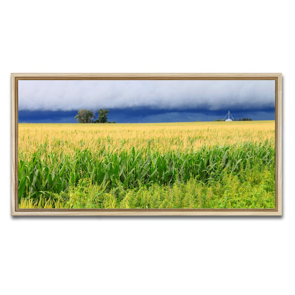 AUTO-MOCKUP WHITE | Thunderstorm Over Illinois Cornfield | 1 Piece | Natural Framed Canvas | group=2x1